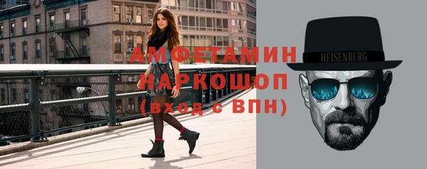 индика Козельск