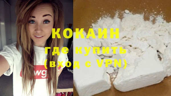 индика Козельск