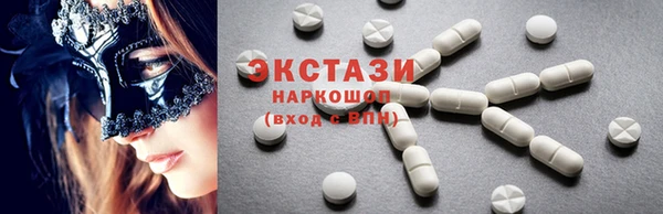 индика Козельск