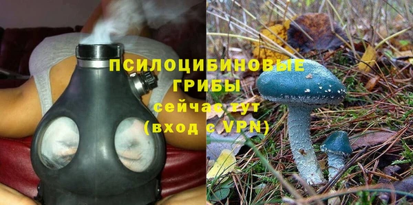 мет Козловка