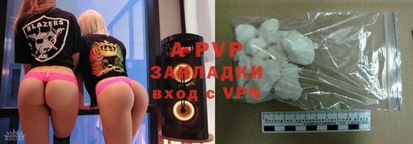 индика Козельск