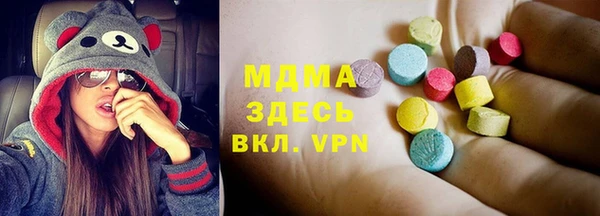 индика Козельск