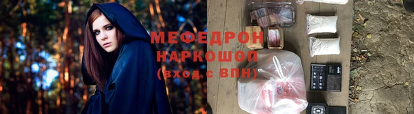 индика Козельск