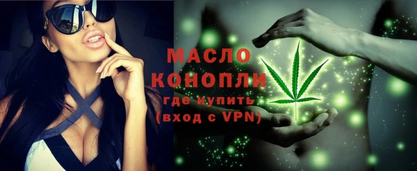 индика Козельск