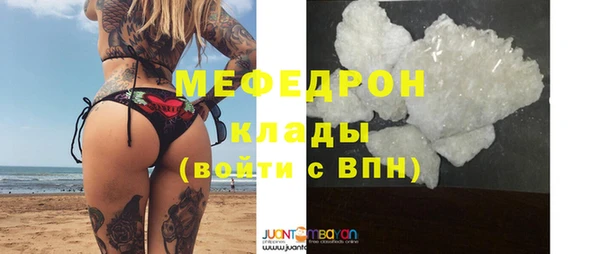 индика Козельск