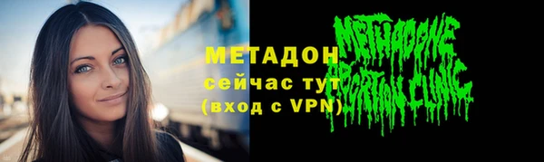 индика Козельск