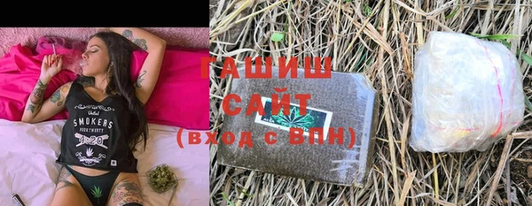 индика Козельск