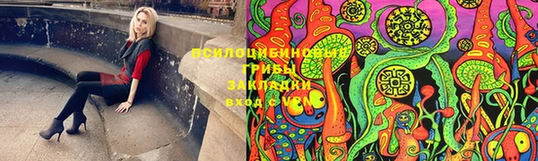 индика Козельск