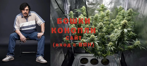 индика Козельск
