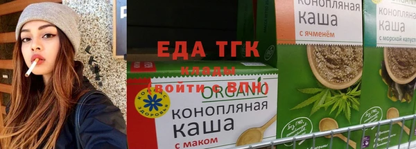 индика Козельск