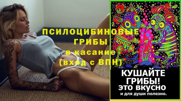 спиды Кодинск