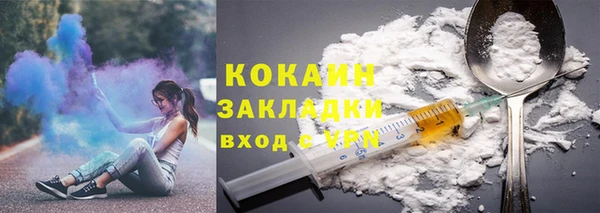 индика Козельск