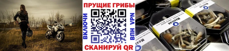 Псилоцибиновые грибы Magic Shrooms  ОМГ ОМГ маркетплейс  Пенза 