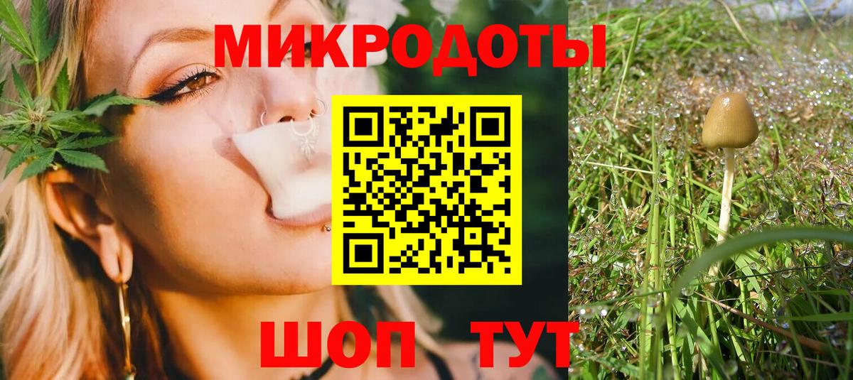 Псилоцибиновые грибы Psilocybe Пенза