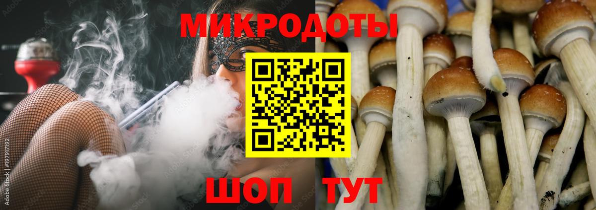 Пенза  Псилоцибиновые грибы Psilocybine cubensis  Вход с VPN  Галлюциногенные грибы прущие грибы 